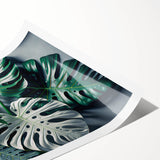 Botanical wall art print showcasing a detailed Monstera leaf design in vibrant greens, rolled and packaged securely in a cardboard tube for safe delivery.