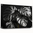 A side view of a vibrant botanical wall art collection featuring a Monstera design, displayed in a sleek acrylic glass frame with decorative pins, perfect for modern decor.