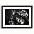 Framed botanical wall art collection featuring a Monstera leaf design with a black frame and mat, ideal for modern home decor and nature enthusiasts.
