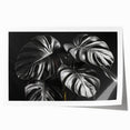 Vibrant botanical wall art print showcasing a Monstera leaf design, perfect for adding a touch of nature-inspired decor to any space, rolled for easy framing.