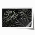 Botanical wall art print featuring a detailed Monstera leaf design in vibrant green and natural tones, rolled and ready for framing, ideal for home decor enthusiasts.