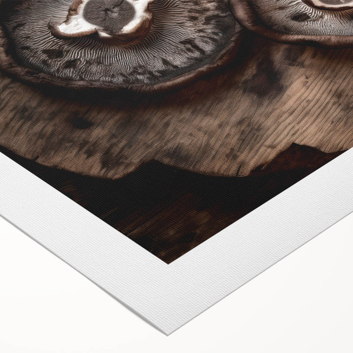 Botanical wall art canvas print showcasing a vibrant design of colorful flowers and mushrooms, perfect for home decor, displayed in a rolled format.