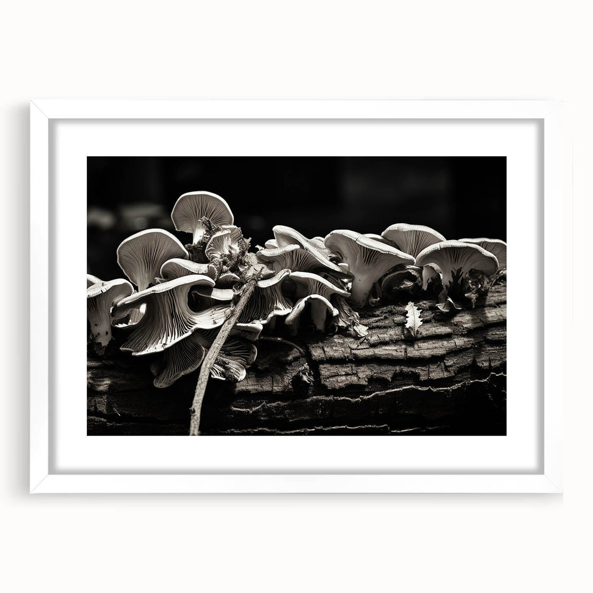 Framed botanical wall art showcasing an elegant design of colorful mushrooms and flowers, set against a white mat, ideal for home decor. Perfect for nature lovers.