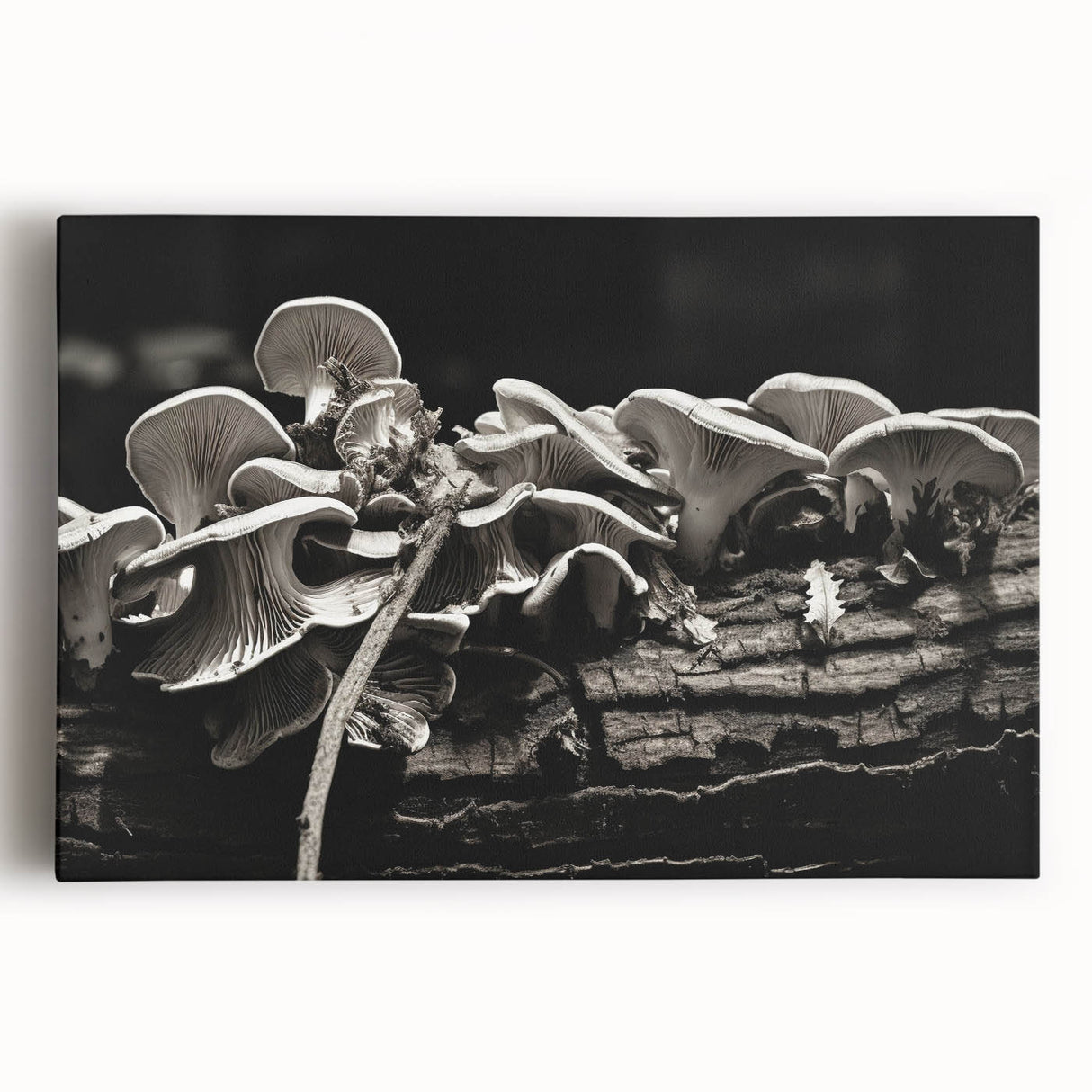 Stretched canvas wall art showcasing a vibrant botanical design featuring colorful flowers and mushrooms, ideal for enhancing modern home decor.