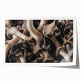 Botanical wall art print showcasing a vibrant floral and mushroom design, elegantly rolled for easy display. Perfect for nature-inspired decor.