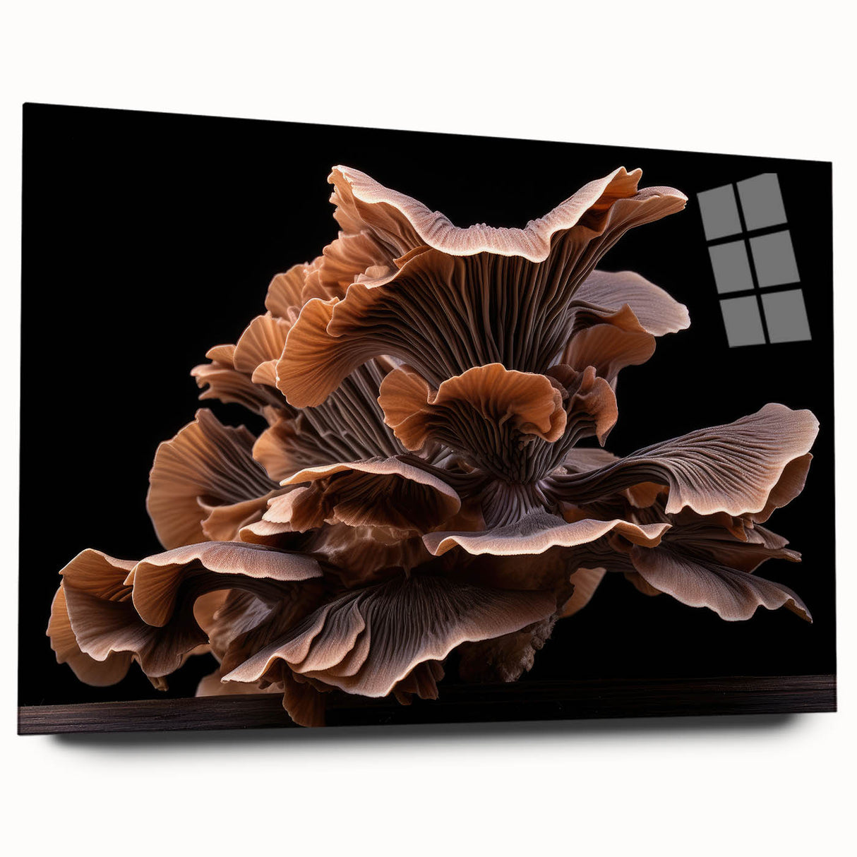 Colorful botanical wall art showcasing a vibrant design of mushrooms and flowers printed on acrylic glass, viewed from the side, highlighting its sleek edges and modern aesthetic. Perfect for adding a touch of nature-inspired decor to any space.