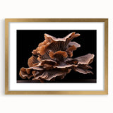 Botanical wall art featuring an elegant gold-framed design of colorful flowers and mushrooms, ideal for home decor, enhancing any room's aesthetic with nature-inspired beauty.