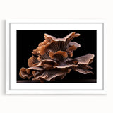Botanical wall art featuring a vibrant floral and mushroom design in a white frame with matting, perfect for enhancing home decor with nature-inspired aesthetics.
