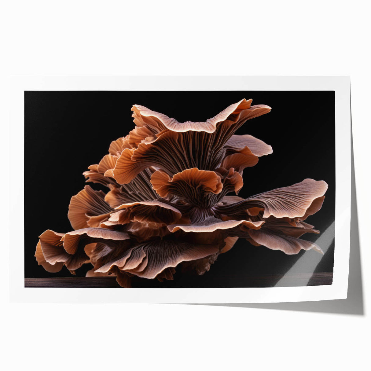 Botanical wall art print showcasing vibrant flowers and intricate mushroom designs, rolled and packaged in a protective cardboard tube, perfect for home decor.