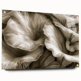 Botanical wall art collection showcasing a vibrant design of flowers and mushrooms, printed on acrylic glass with visible mounting pins, perfect for nature-inspired decor.