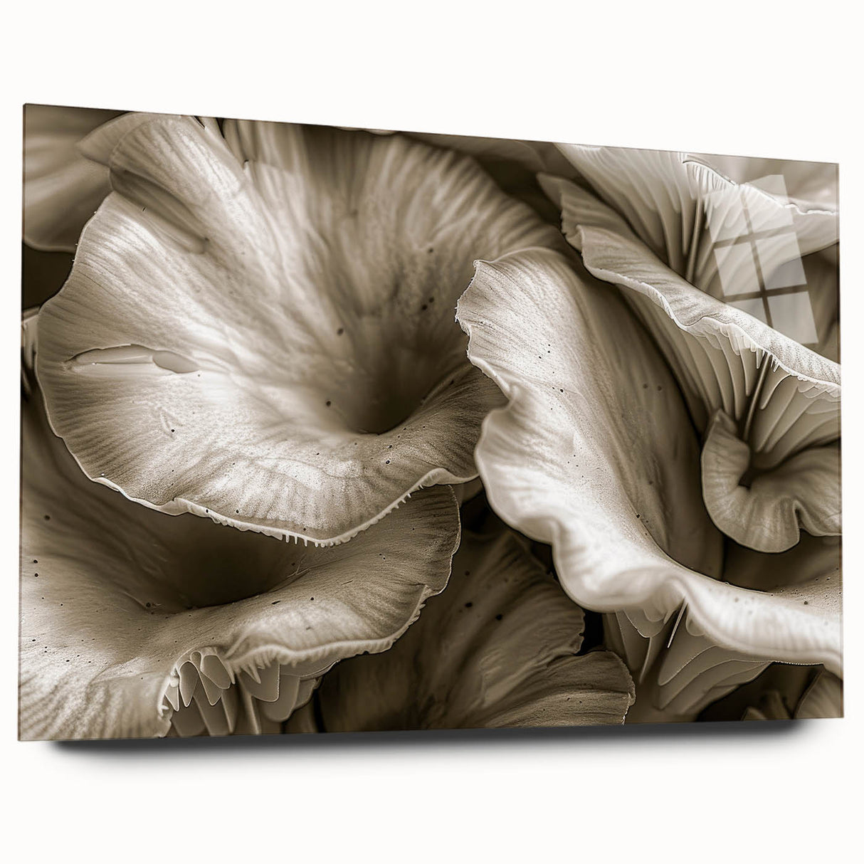 Side view of a botanical wall art collection featuring vibrant flowers and mushrooms, displayed in a sleek acrylic frame, perfect for home decor.