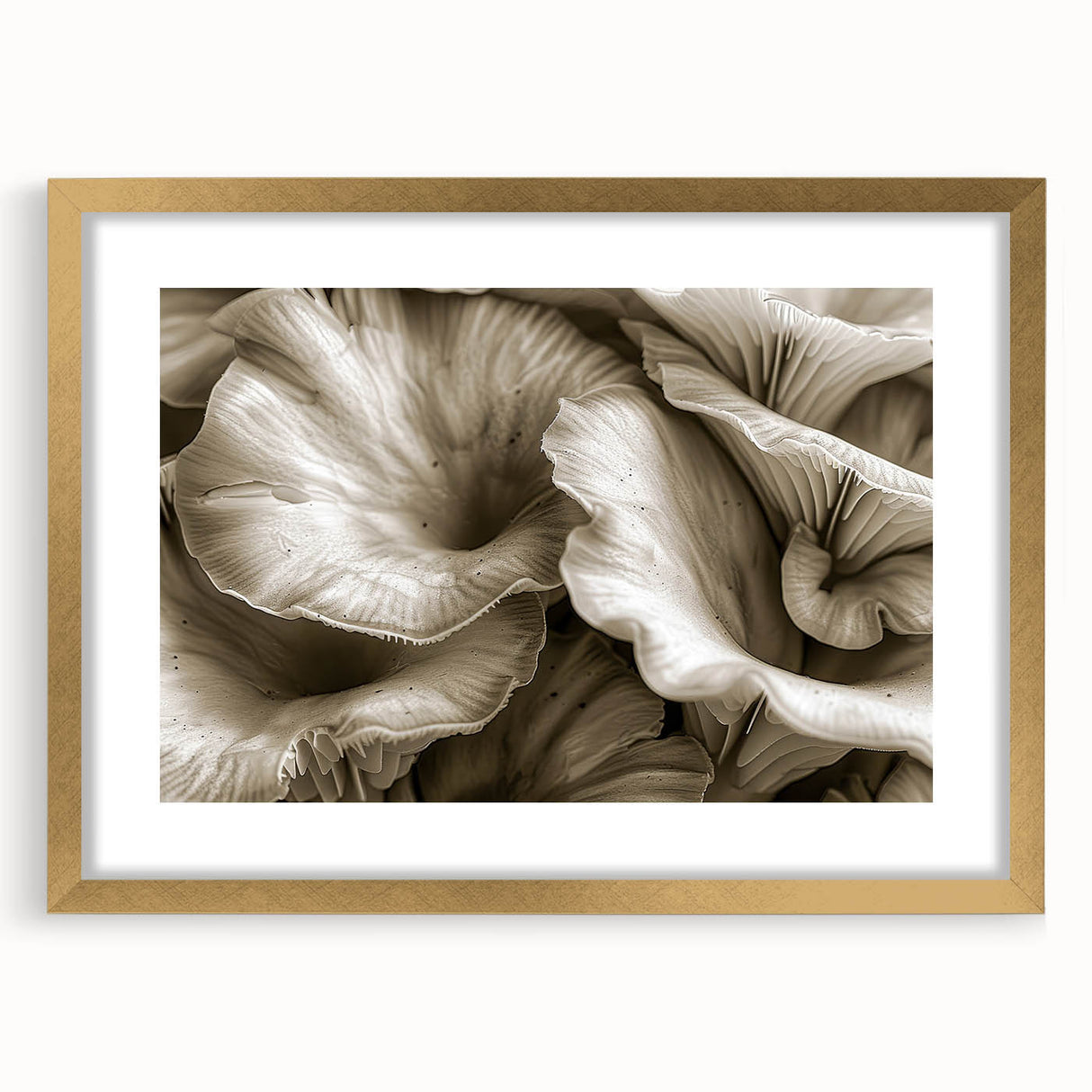 Botanical wall art collection showcasing a gold-framed design featuring vibrant flowers and mushrooms, perfect for enhancing modern decor.