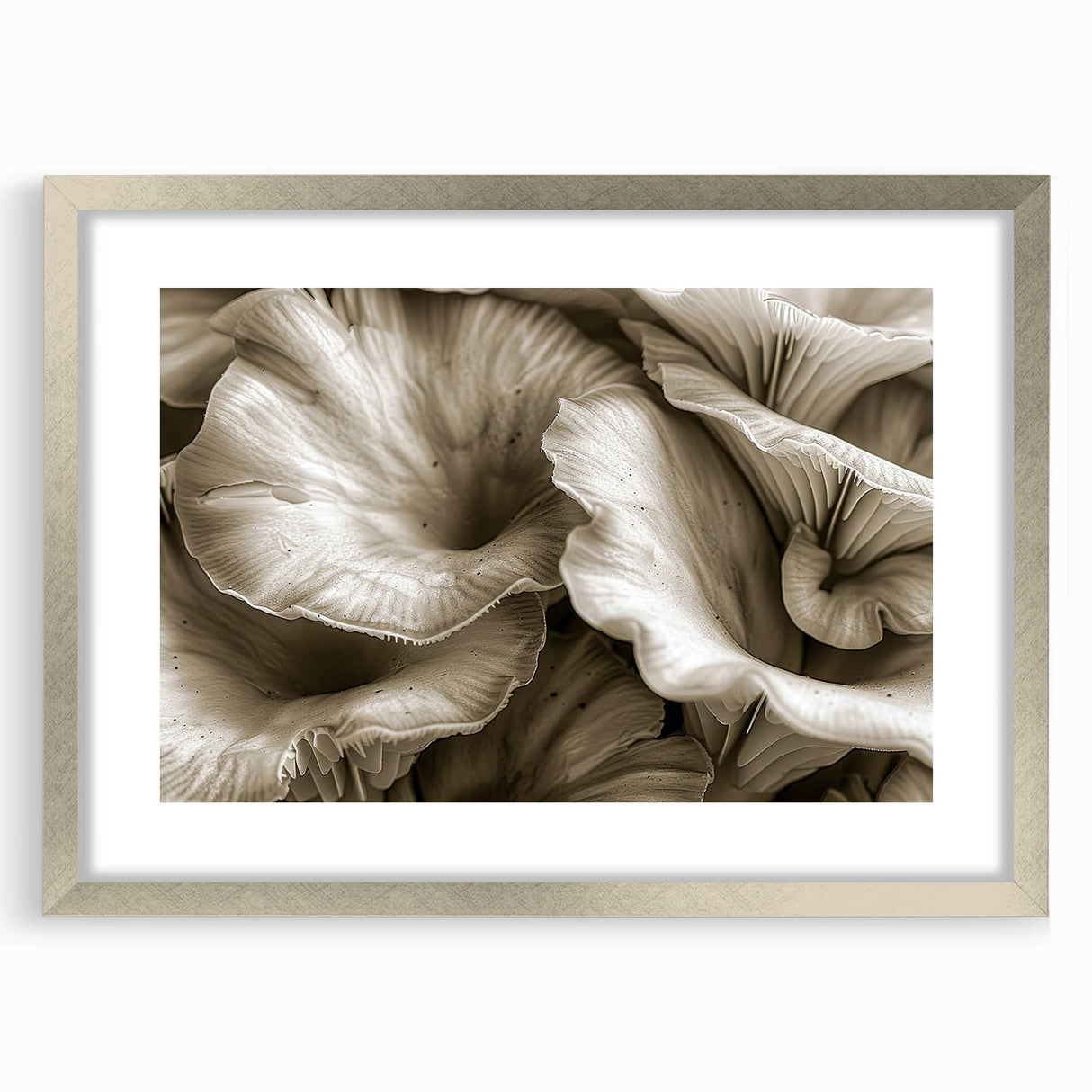 Botanical wall art collection showcasing vibrant flowers and mushrooms, framed with a silver mat, perfect for adding a touch of nature to home decor.