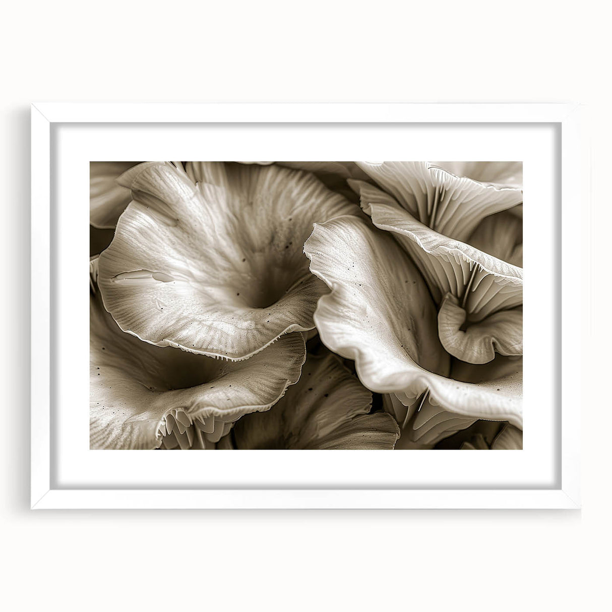Botanical wall art collection featuring vibrant flowers and mushrooms in a stylish frame with a white mat, perfect for enhancing home decor aesthetics.