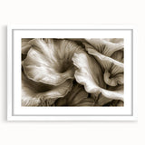 Botanical wall art collection featuring vibrant flowers and mushrooms in a stylish frame with a white mat, perfect for enhancing home decor aesthetics.
