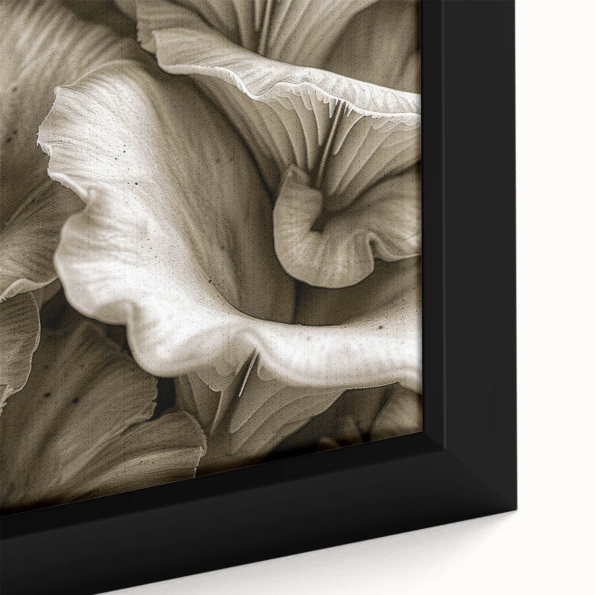 Close-up of a framed wall art collection showcasing vibrant botanical mushrooms design on canvas, featuring intricate details and rich colors, perfect for home decor.