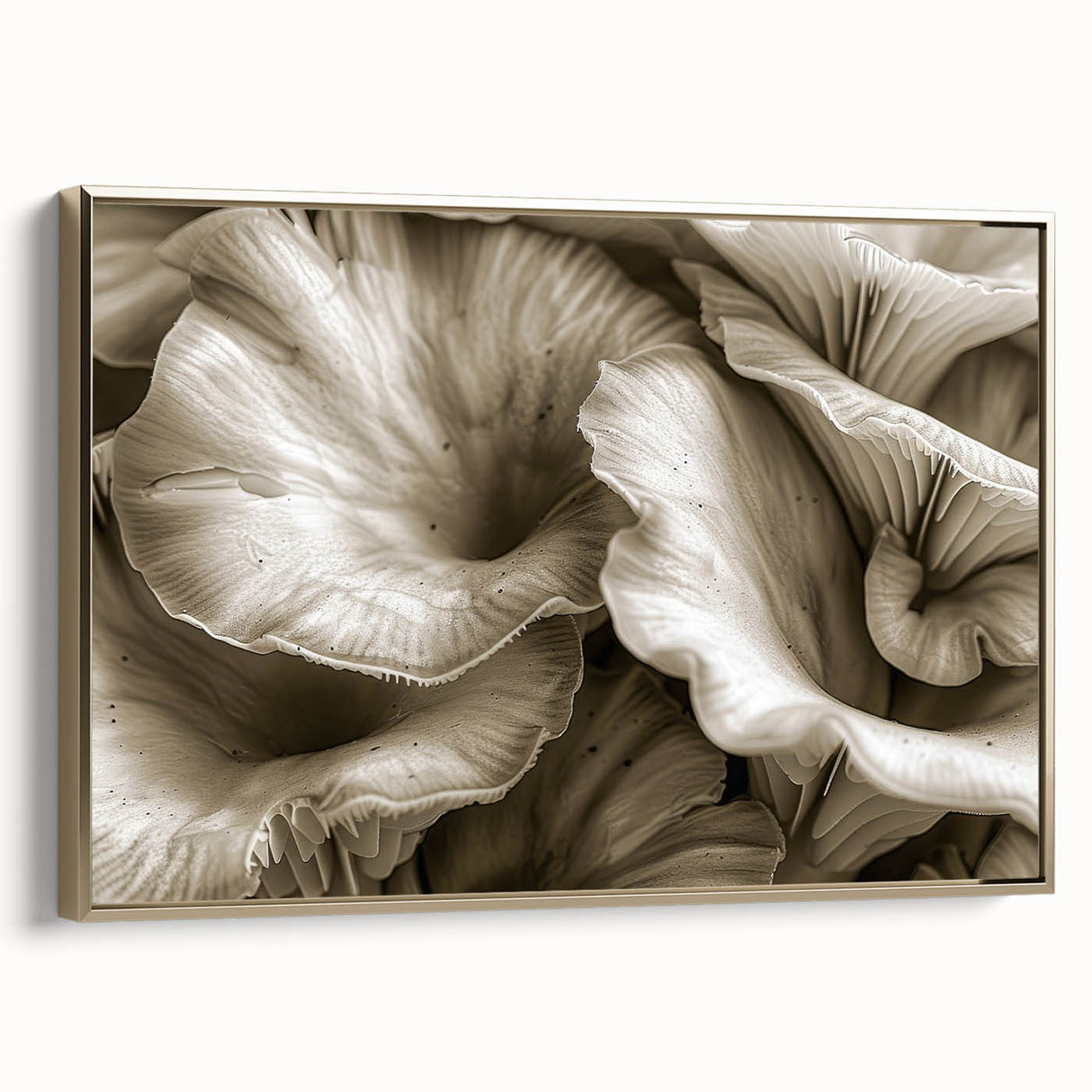 Framed wall art collection showcasing a botanical design featuring colorful flowers and mushrooms, presented in a gold frame, side view. Ideal for enhancing home decor with nature-inspired aesthetics.