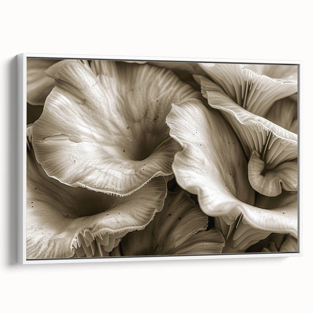 Framed canvas wall art showcasing a botanical design of vibrant flowers and mushrooms, presented in a sleek white frame, ideal for nature-inspired decor.