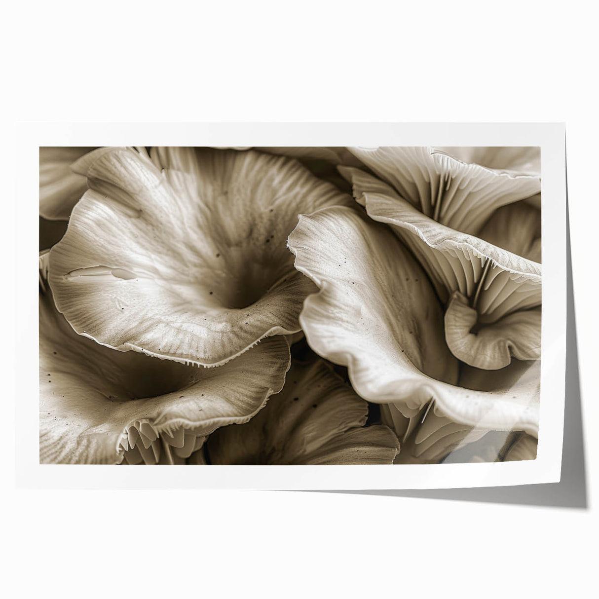 Botanical wall art print showcasing vibrant flowers and intricate mushrooms in a colorful design, perfect for home decor or nature-themed spaces, rolled for easy framing.