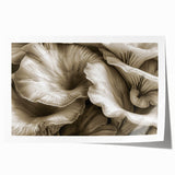 Botanical wall art print showcasing vibrant flowers and intricate mushrooms in a colorful design, perfect for home decor or nature-themed spaces, rolled for easy framing.