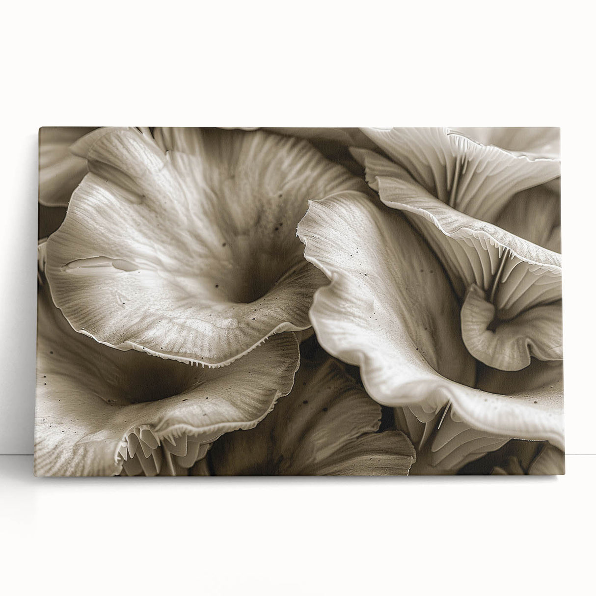 Botanical wall art collection showcasing vibrant flowers and intricate mushrooms on a stretched canvas, perfect for adding a natural touch to home decor.