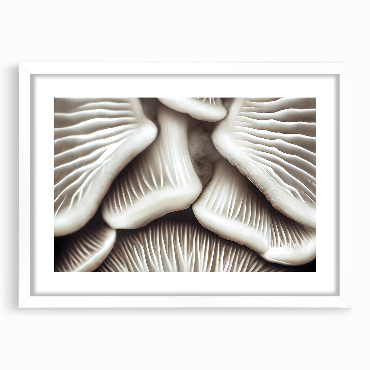 Floral and botanical mushroom wall art collection featuring a white frame and mat, showcasing intricate designs ideal for modern home decor. Perfect for nature enthusiasts.