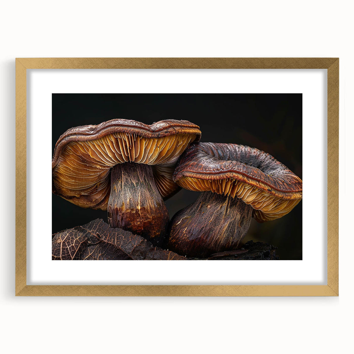 Botanical wall art collection featuring a framed design of colorful mushrooms and flowers with a gold mat, perfect for home decor and nature enthusiasts.