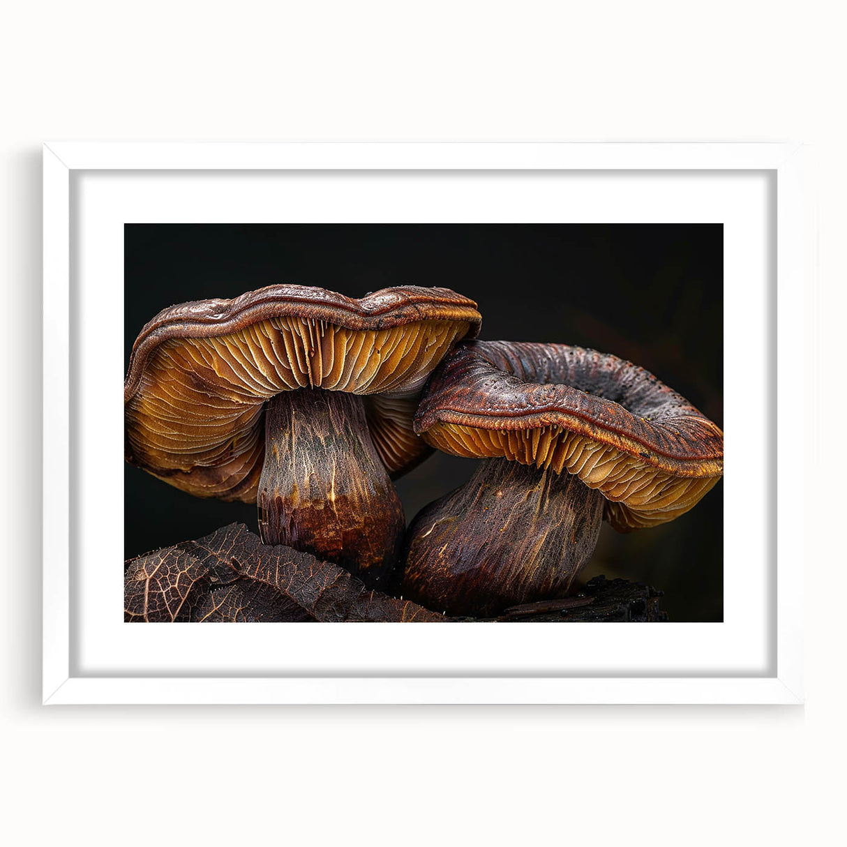 Botanical wall art collection featuring colorful flowers and mushrooms in a white frame with matting, ideal for home decor and nature-inspired themes.