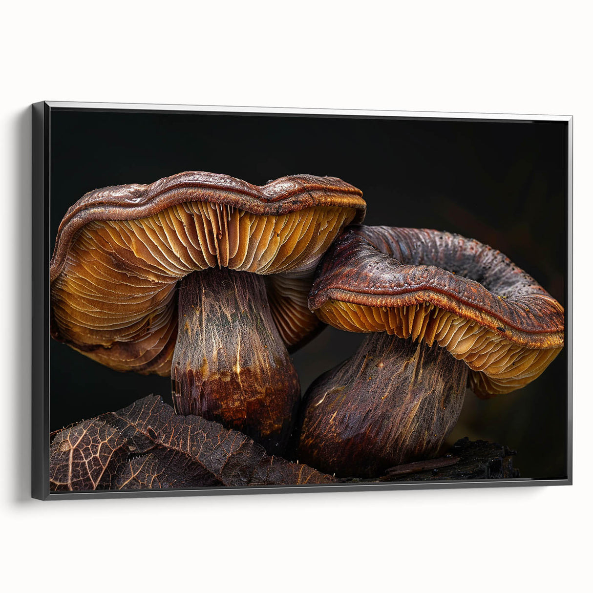 Framed wall art featuring a botanical design of colorful mushrooms set against a black background, showcasing intricate details and textures perfect for home decor.