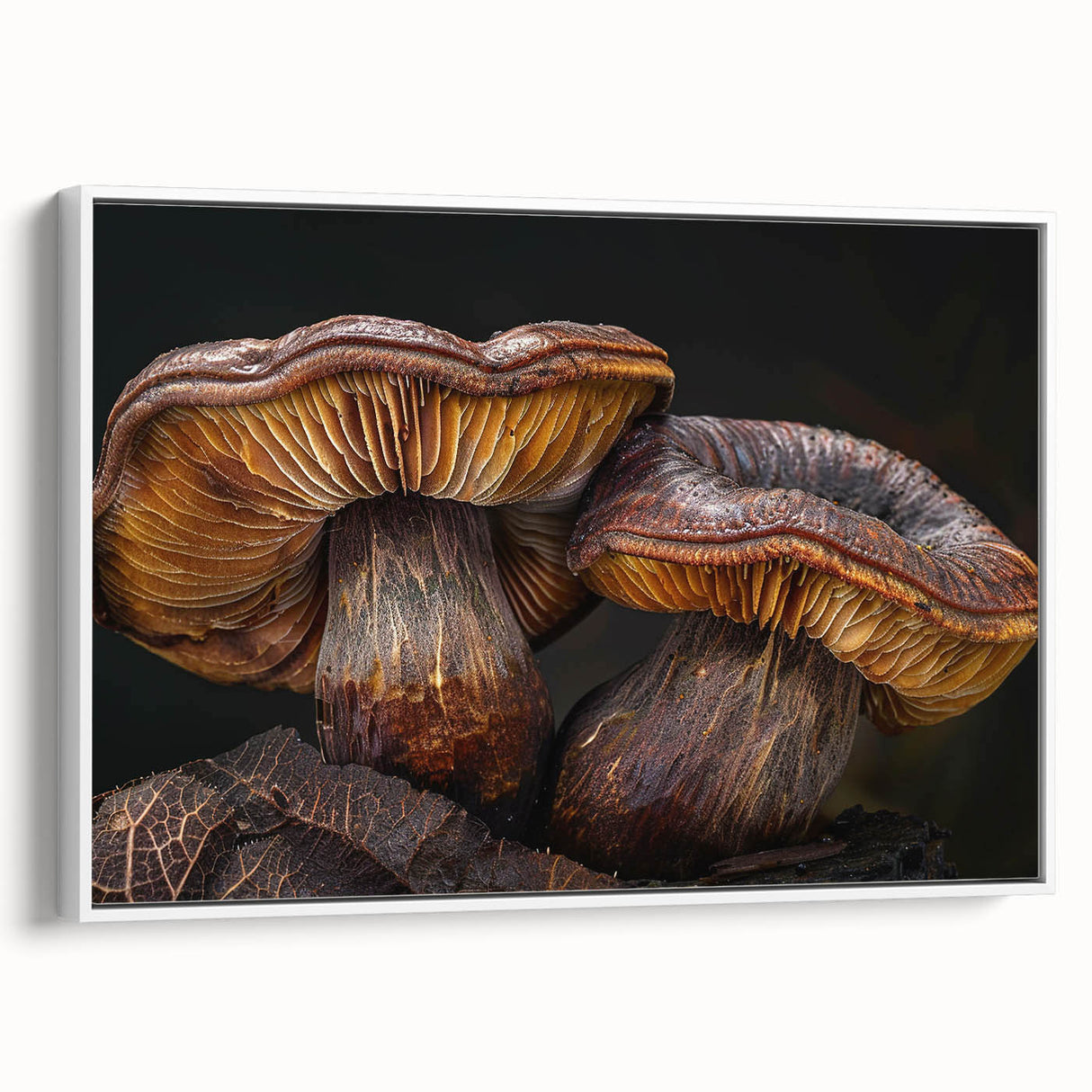 Framed canvas wall art showcasing a vibrant botanical design featuring colorful flowers and mushrooms against a white background, ideal for home decor.