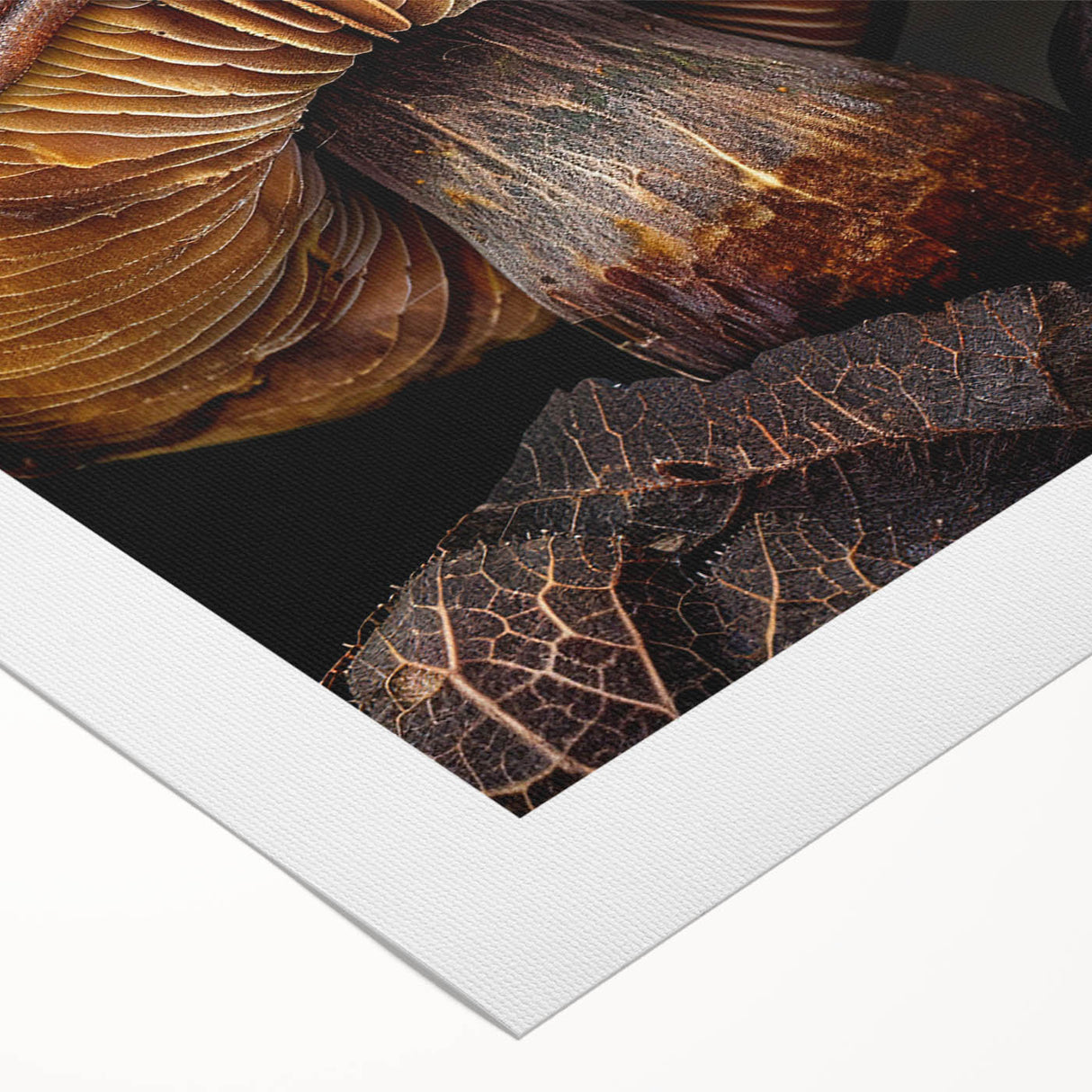 Colorful rolled canvas print showcasing a botanical design featuring vibrant flowers and intricate mushrooms, perfect for enhancing home decor with a nature-inspired touch.