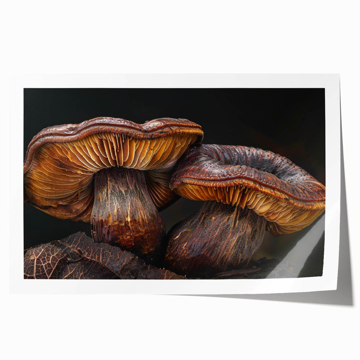 Botanical wall art print showcasing a vibrant collection of flowers and mushrooms in a colorful, intricate design, rolled for easy framing and display.