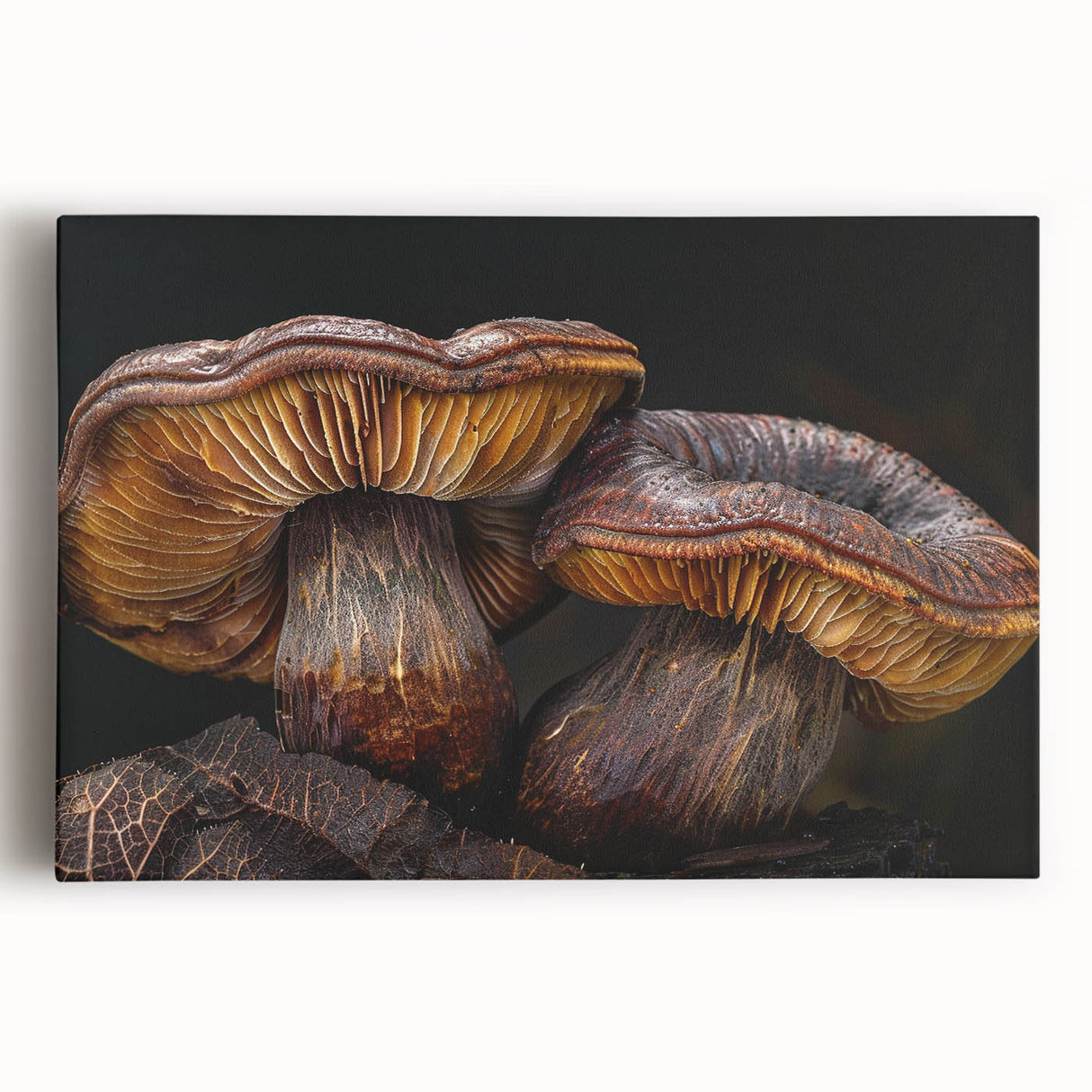 Stretched canvas wall art showcasing a vibrant floral and botanical design with intricate mushrooms, perfect for home decor, enhancing natural aesthetics.