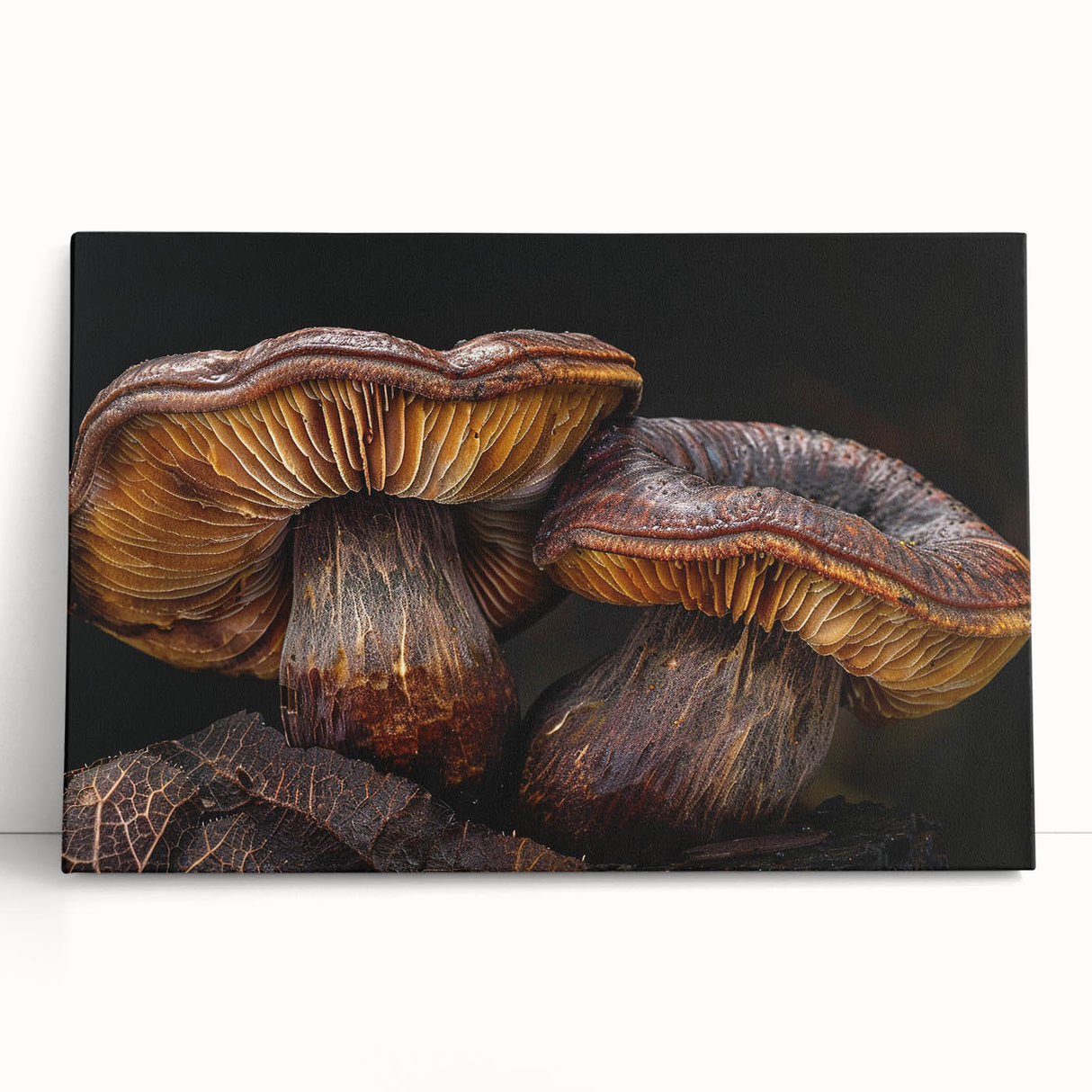 Stretched canvas wall art showcasing a vibrant floral and botanical mushroom design, featuring rich colors and intricate details, perfect for home decor.