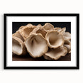 Botanical wall art design featuring vibrant flowers and mushrooms in a sleek black frame with a mat, ideal for enhancing home decor and adding a natural touch.