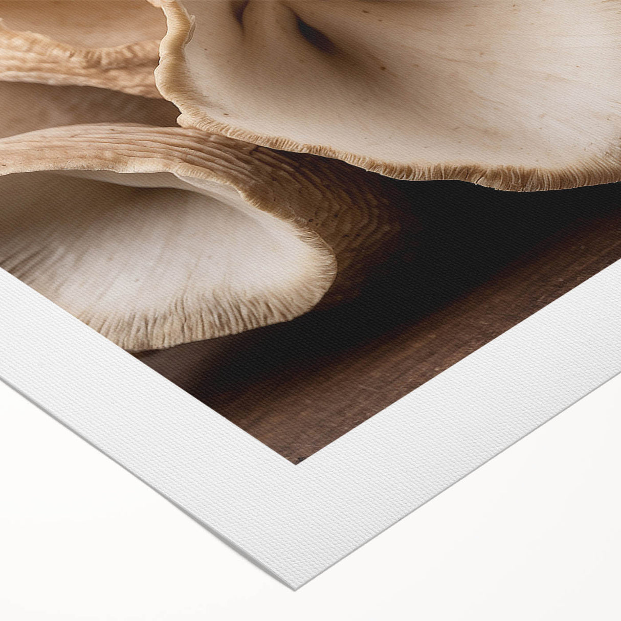 Rolled canvas artwork showcasing a vibrant botanical design featuring colorful flowers and mushrooms, ideal for home decor and nature enthusiasts, packaged securely in a cardboard tube.