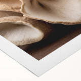 Rolled canvas artwork showcasing a vibrant botanical design featuring colorful flowers and mushrooms, ideal for home decor and nature enthusiasts, packaged securely in a cardboard tube.