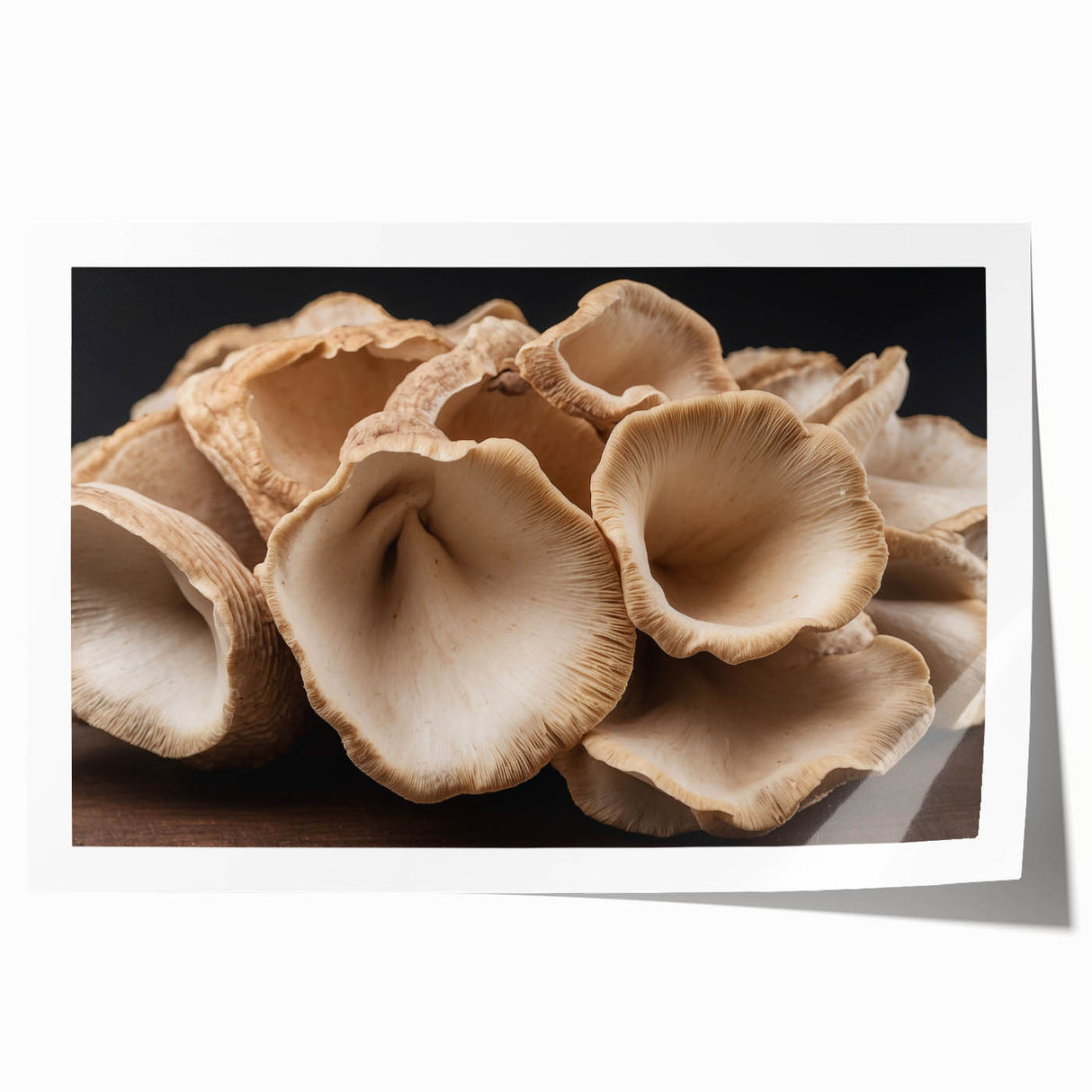Botanical wall art print showcasing an intricate design of colorful flowers and mushrooms, rolled for easy display, perfect for nature-themed decor.
