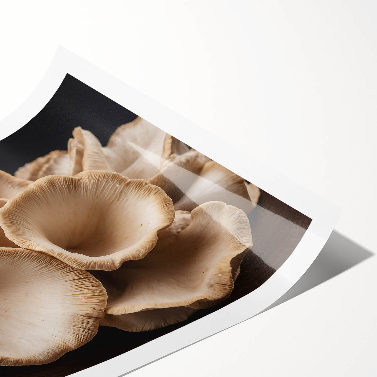 Botanical wall art print showcasing vibrant flowers and intricate mushrooms on a textured background, rolled for easy framing and shipping, ideal for nature lovers.