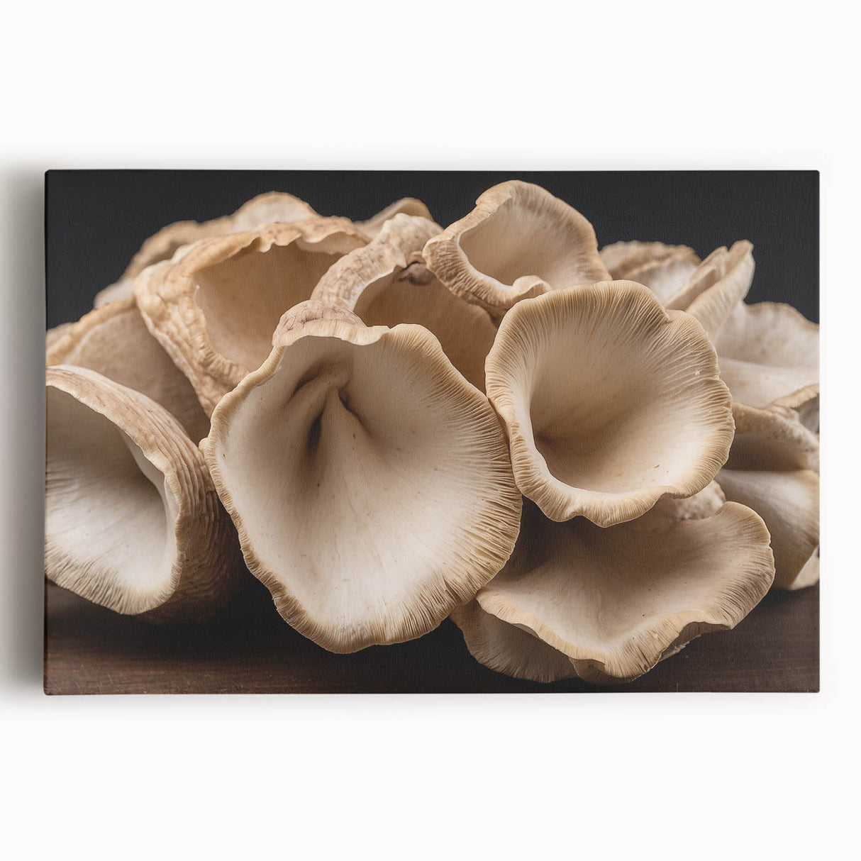 Botanical wall art design featuring vibrant flowers and mushrooms on stretched canvas, showcasing intricate details and a colorful palette, perfect for home decor.