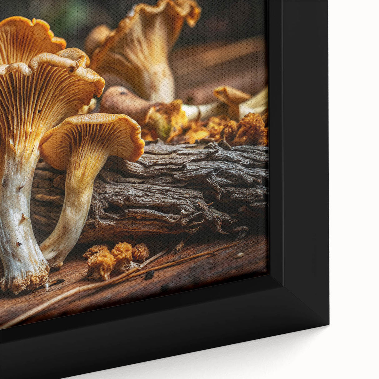 Close-up of a framed botanical wall art canvas featuring vibrant flowers and detailed mushrooms, showcasing intricate designs and rich colors, perfect for home decor.
