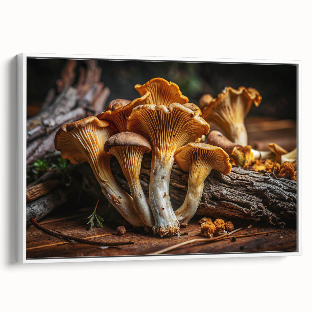 Framed wall art collection showcasing a botanical design of flowers and mushrooms on a white background, highlighting intricate details and vibrant colors. Perfect for enhancing interior decor with a natural theme.