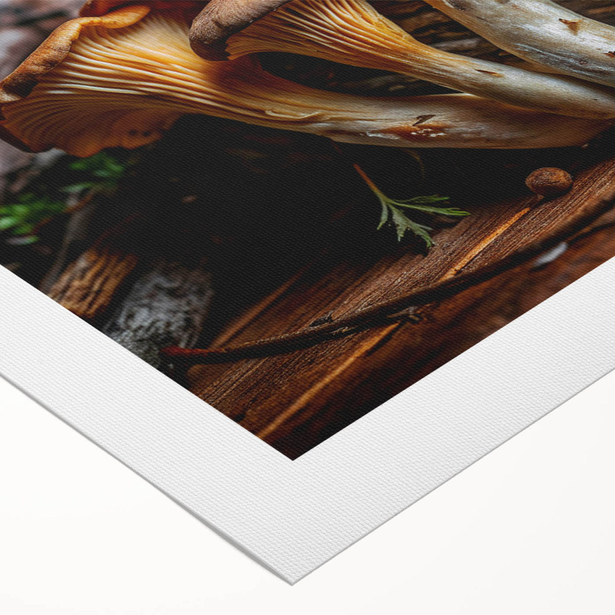 Botanical wall art design showcasing vibrant flowers and mushrooms on rolled canvas, ideal for nature-inspired decor. Perfect for enhancing home aesthetics.