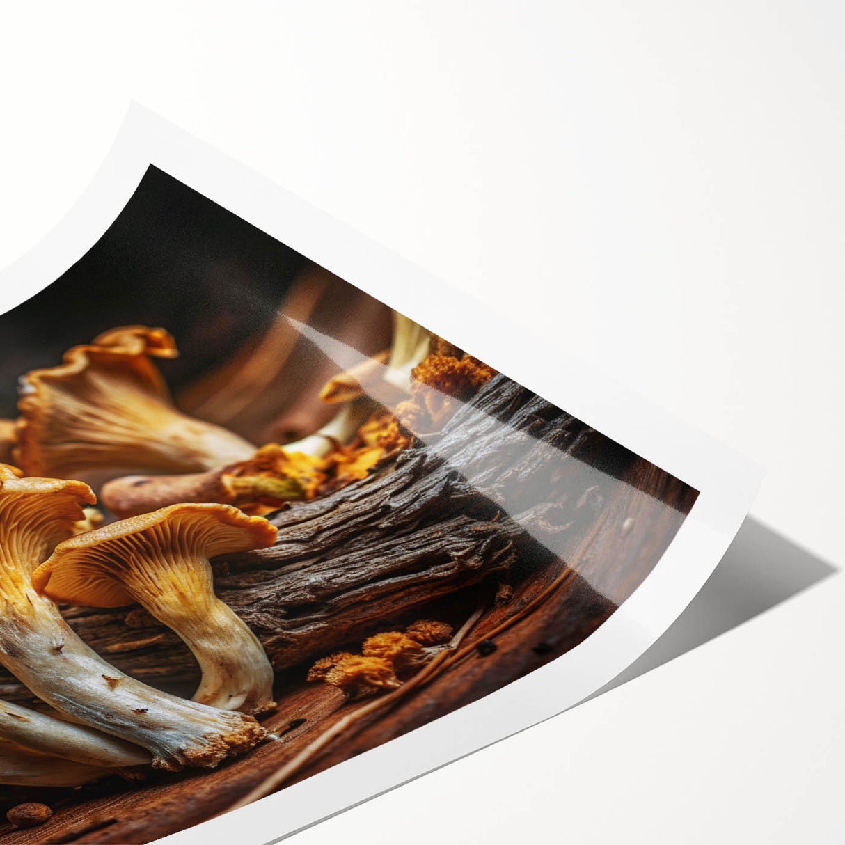 Botanical wall art print featuring a vibrant collection of colorful flowers and mushrooms, showcasing intricate details on a rolled canvas, perfect for home decor.