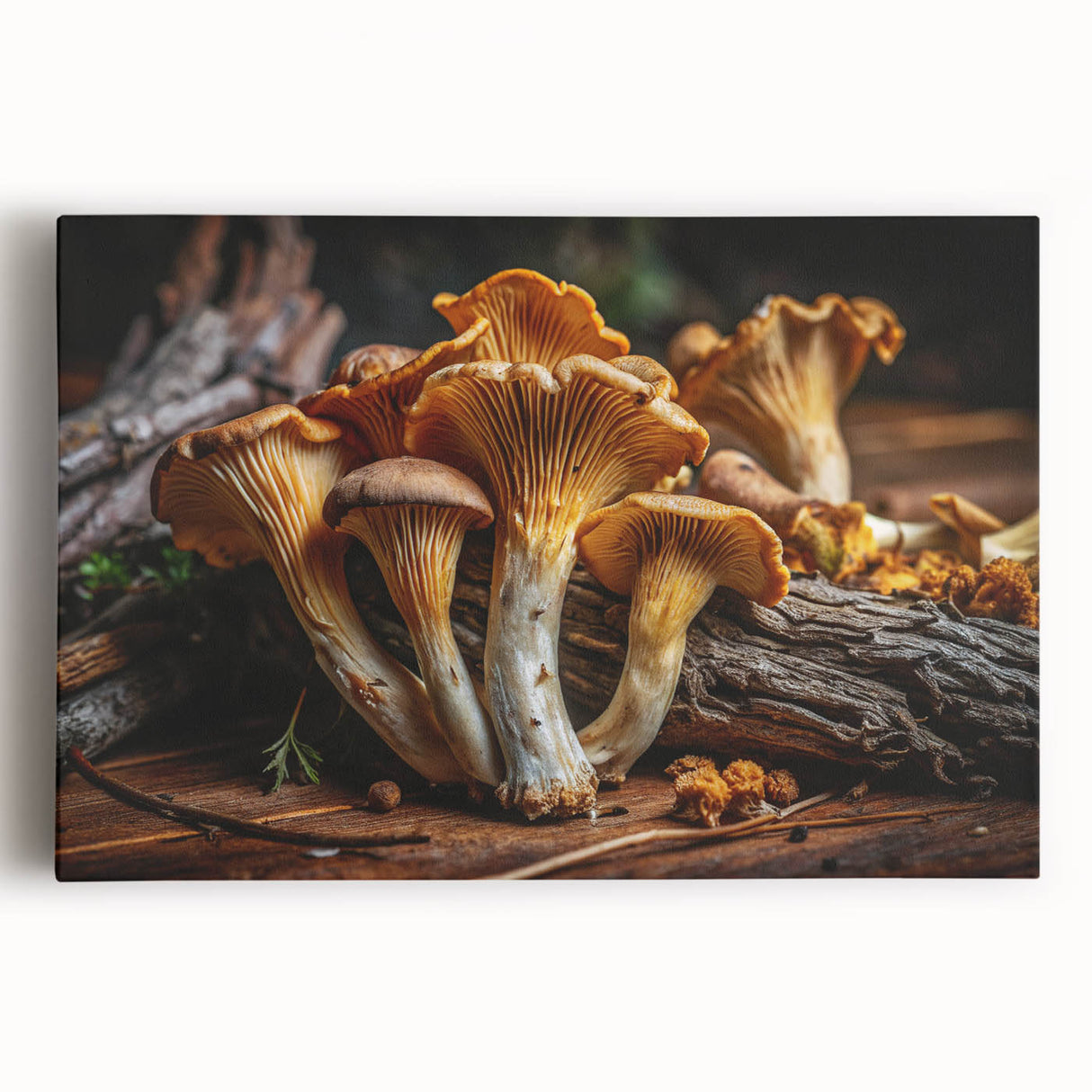 Botanical wall art design featuring colorful flowers and mushrooms on a stretched canvas, showcasing intricate details and vibrant hues, perfect for home decor.