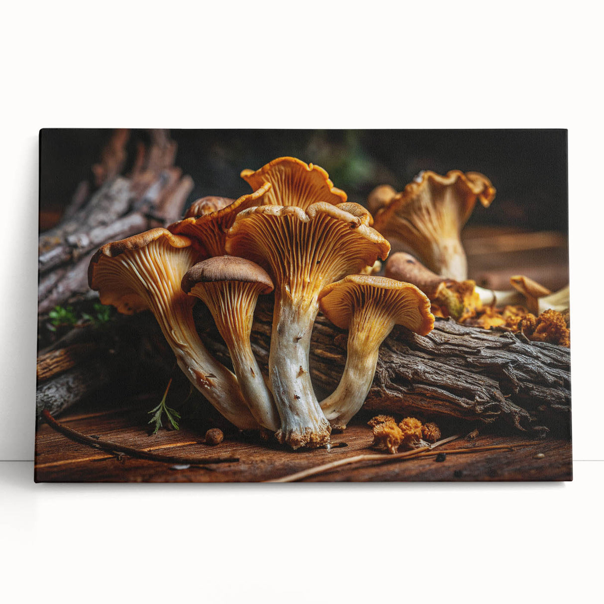 Colorful botanical wall art featuring a variety of mushrooms on a stretched canvas, showcasing intricate details and vibrant hues, perfect for enhancing home decor.