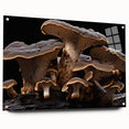 Botanical wall art collection showcasing vibrant flowers and mushrooms in a side view, elegantly displayed with pins on acrylic glass, perfect for nature-inspired decor.
