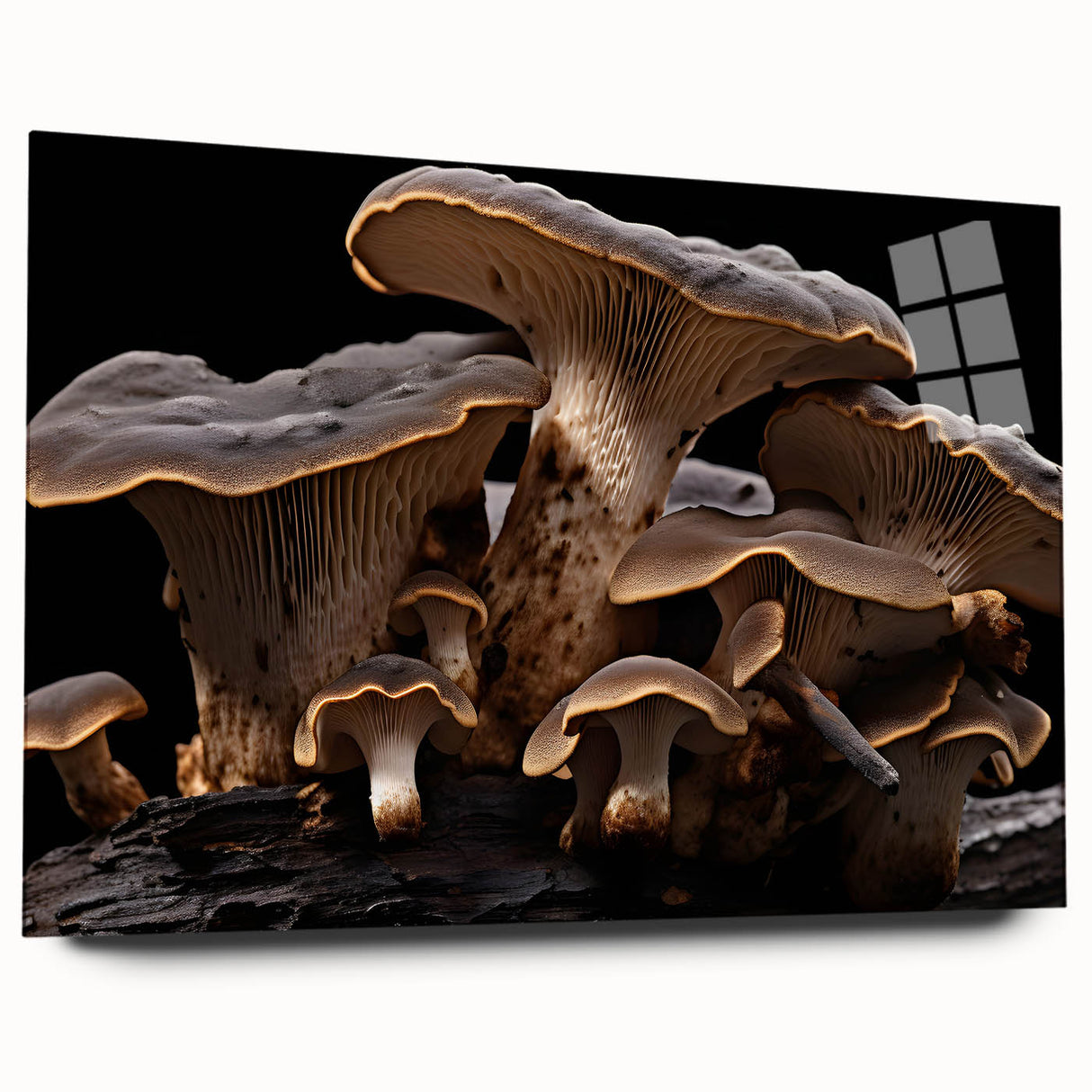 Acrylic glass wall art featuring a vibrant botanical design of mushrooms and flowers, displayed from the side, highlighting its sleek edges and vivid colors. Perfect for nature-themed decor.