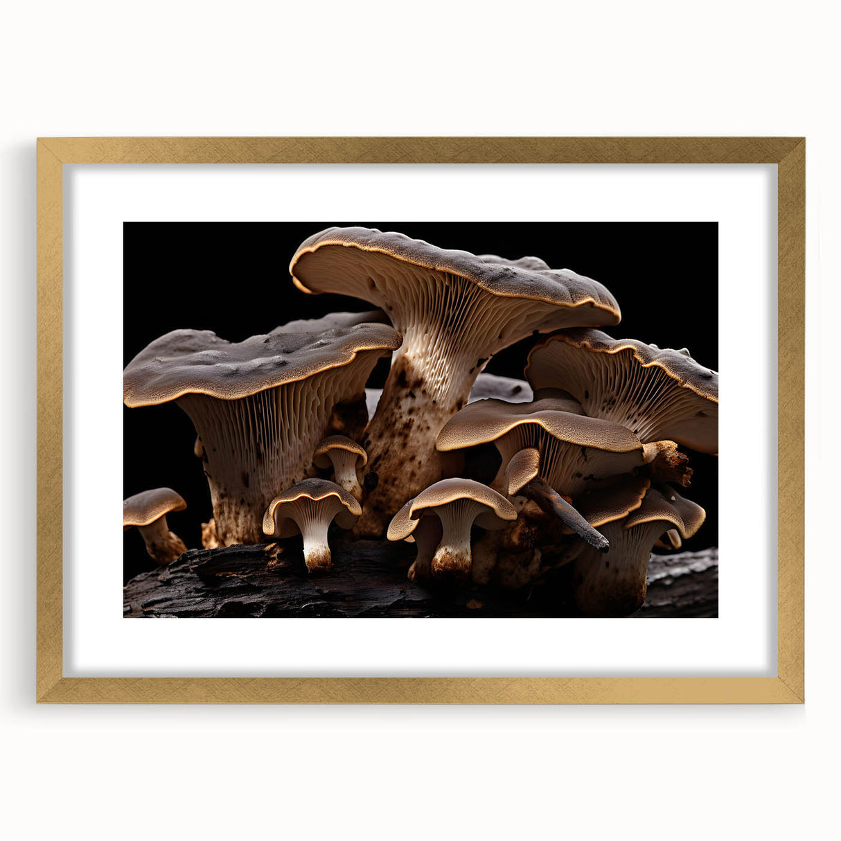 Elegant wall art collection featuring a botanical design of flowers and mushrooms, framed with a gold mat, showcasing intricate details and vibrant colors. Perfect for enhancing home decor and adding a natural touch.