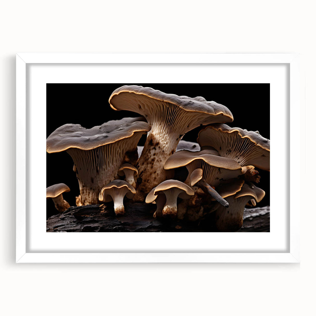 Botanical wall art featuring a collection of colorful flowers and mushrooms in an elegant white frame with a mat, perfect for home decor and nature enthusiasts.